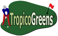 Grama Artificial Golf Putting Green Puerto Rico Synthetic Turf